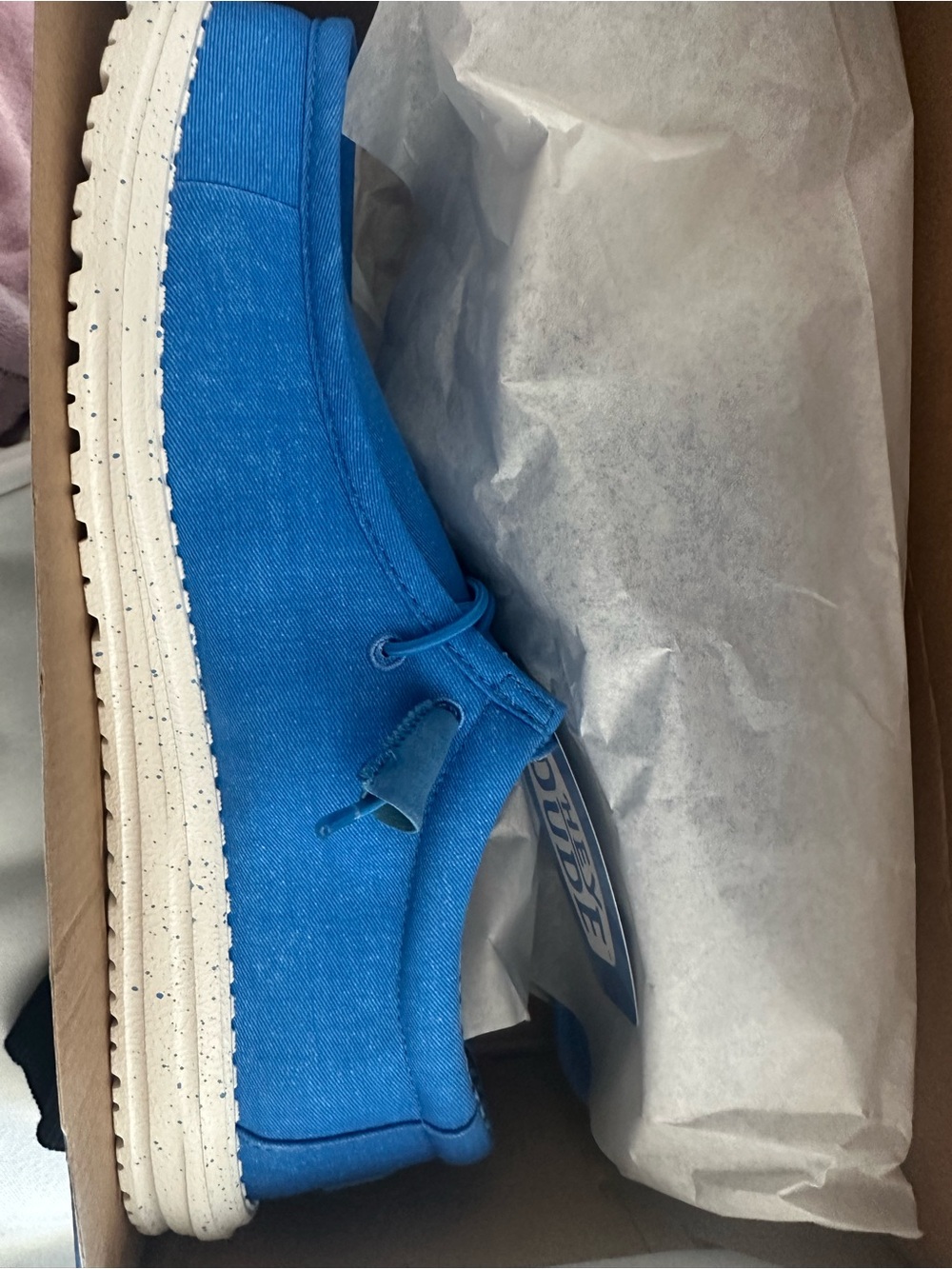 Hey Dudes Blue Canvas Slip-On Shoes